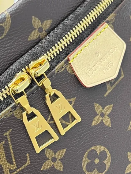 Поясная сумка Louis Vuitton Bumbag канва Monogram