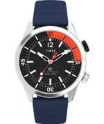 Мужские наручные часы Timex TW2V73500