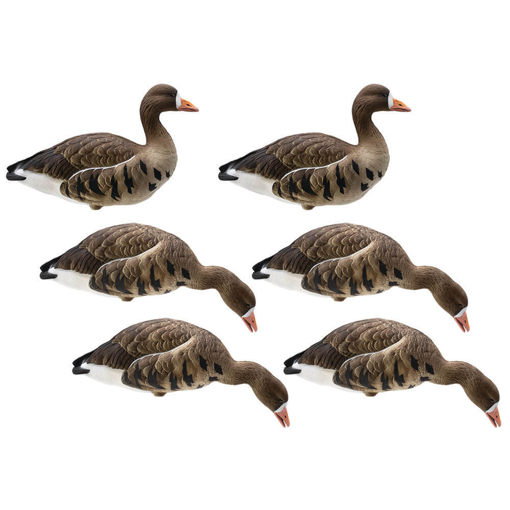 Белолобый гусь "FA LIVE FULL BODY SPECKLEBELLY" (6 штук) FA-197283