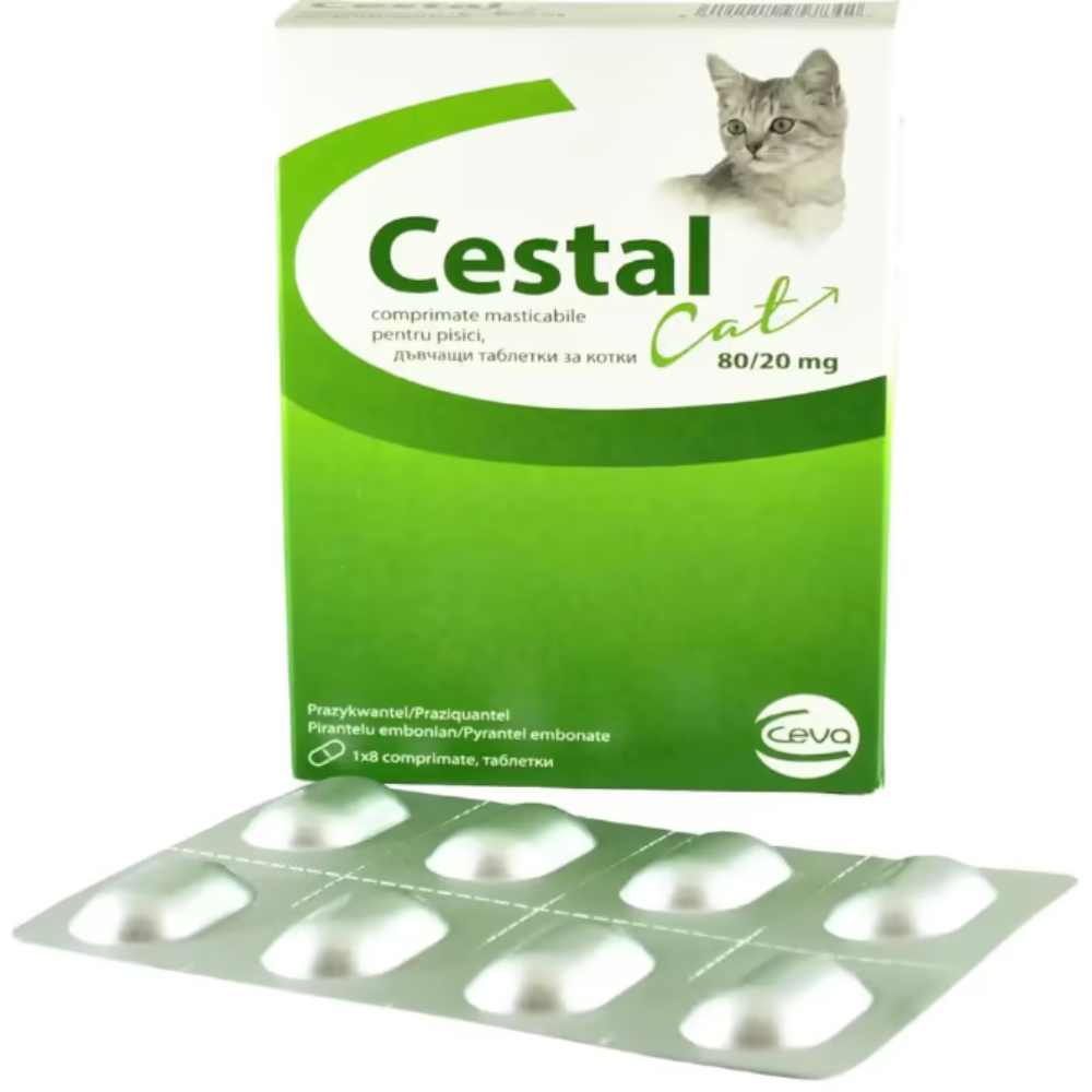 Cestal Cat