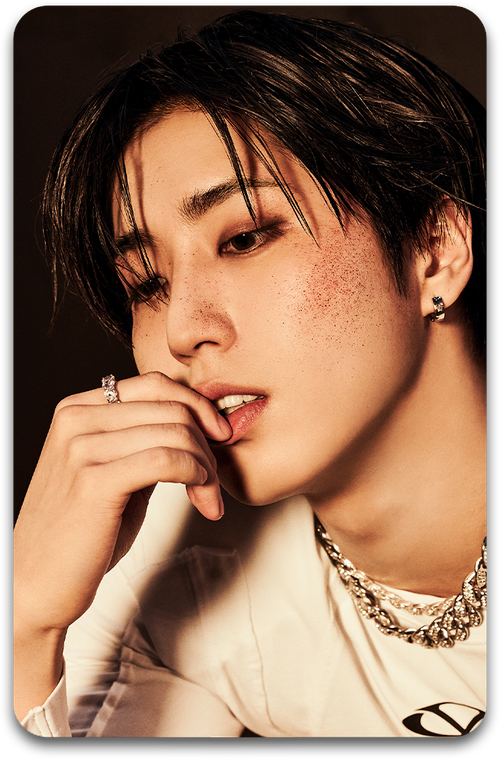 Карта / STRAY KIDS #4230