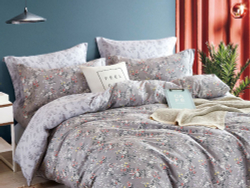 Постельное белье 2 спальное евро Asabella 1565-6