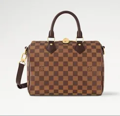 Сумка Louis Vuitton Speedy Damier Ebene