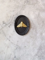 Барельеф на стену из гипса Мотылек