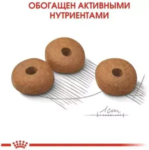 Корм для собак мелких пород склонных к набору веса Royal Canin Mini Light Weight Care