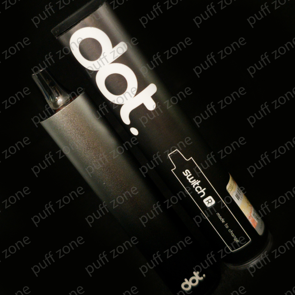 Dotmod Switch R