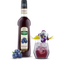 Sirop Qaraglə