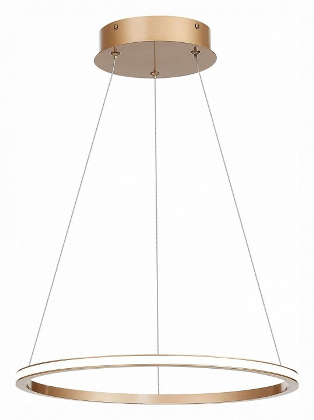 Подвесной светильник ST-Luce ST604 OUT ST604.243.22