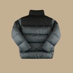 Куртка Anteater Downjacket (black/grey)