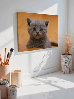 Картина на стену 40 X 50 Котенок