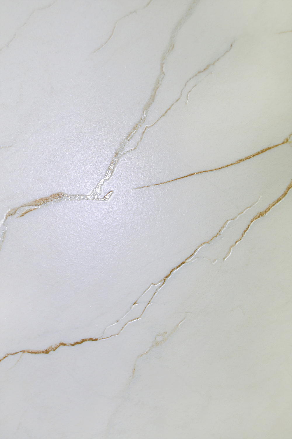 Керамогранит, Arcadia Ceramica, CEASAR, 1200x600 мм, карвинг