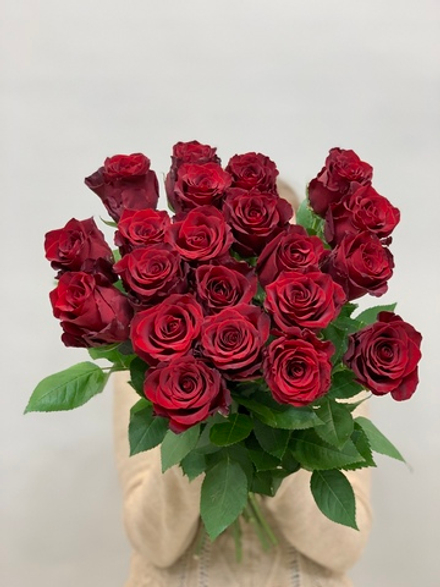 Букет 21 красная роза Эквадор 70см в ленте