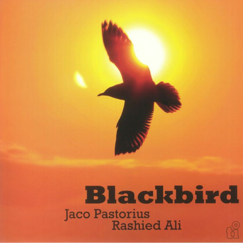 Jaco Pastorius & Rashied Ali - Blackbird - 1000 Cps Translucent Yellow LP