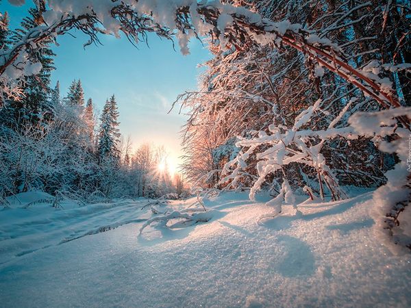 Россия - страна снегов. У нас вы найдете технику, которая справится с любыми заносами