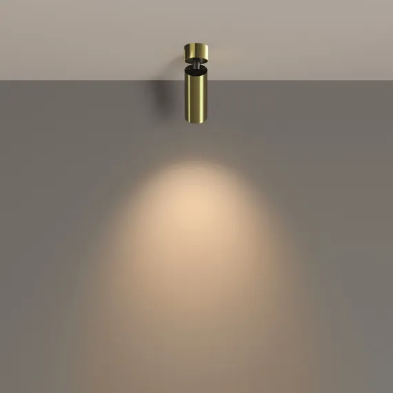Потолочный светильник Фокус / FOCUS LED 12 Вт 3000 К 50° Technical c055cl-l12w3k-w-bs