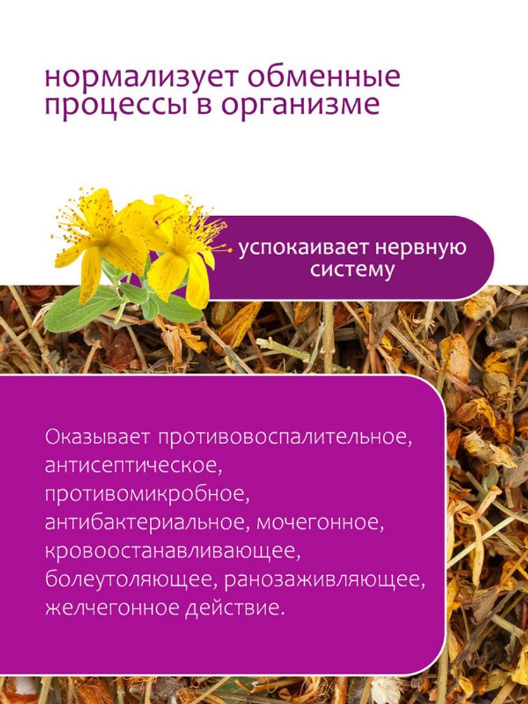 Зверобой трава