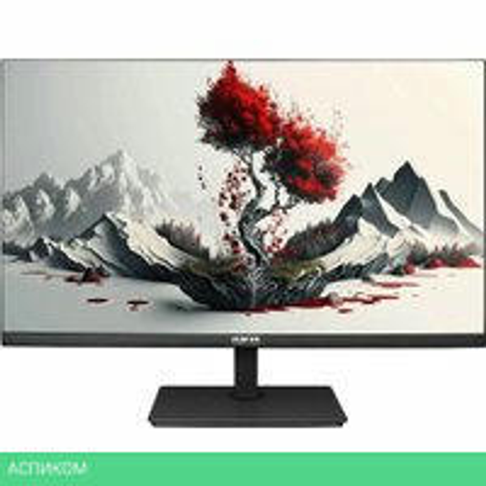 Монитор RDW Computers 2401K/F00В3120V2A1