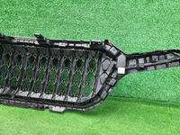 Решетка радиатора Hongqi HS5 (2019-н.в.)