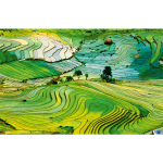 Календарь трехсекционный на 2026 год, "Рисовые террасы"