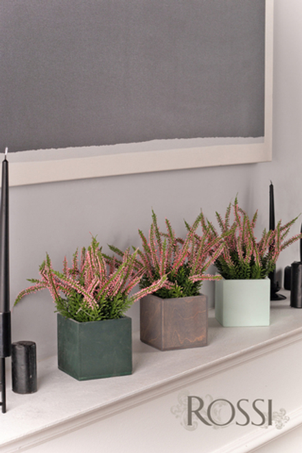 Вереск в кашпо. Цвет графит/белый