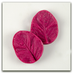 Лист клубники садовой. Набор № 1