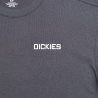  Лонгслив Dickies Payson 2-in-1 Let T-shirt артикул:DK0A88JFBLK1 - купить в магазине Дайс