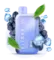 ELF BAR RAYA D1 - Blueberry Ice (5% nic)