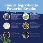 Nature's Craft, Men Support, средство для улучшения фертильности, 90 капсул