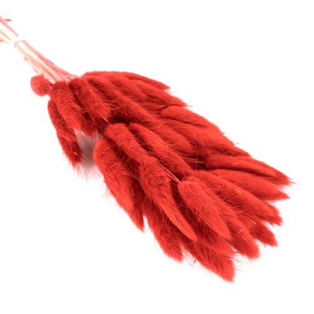 Сухоцветы ЛАГУРУС КРАСНЫЙ 65см 34гр