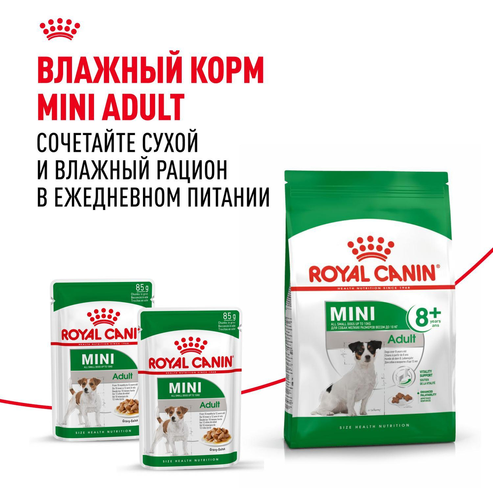 Royal Canin Mini Adult 8+ сухой корм для взрослых собак мелких размеров до 10 кг старше 8 лет 4 кг