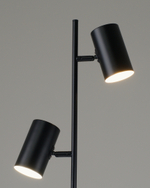 Торшер Moderli V11329-2F Ashes