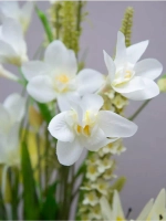 Композиция в напольной вазе "Орхидея"