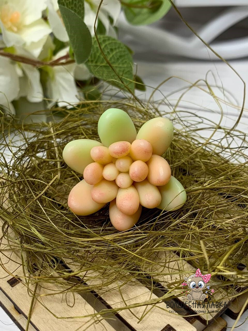 Силиконовая форма Суккулент