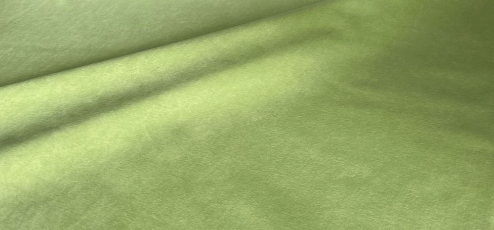 Велюр Тэдди 818