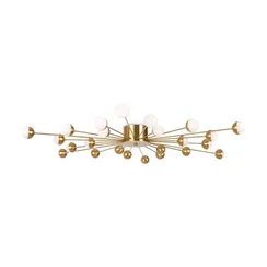 Потолочный светильник Знаменитость / Celebrity Freya fr5242cl-24bs