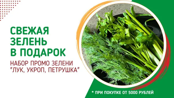Слайдер Блок 94