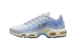Кроссовки женские NIKE W AIR MAX PLUS BODY FADE