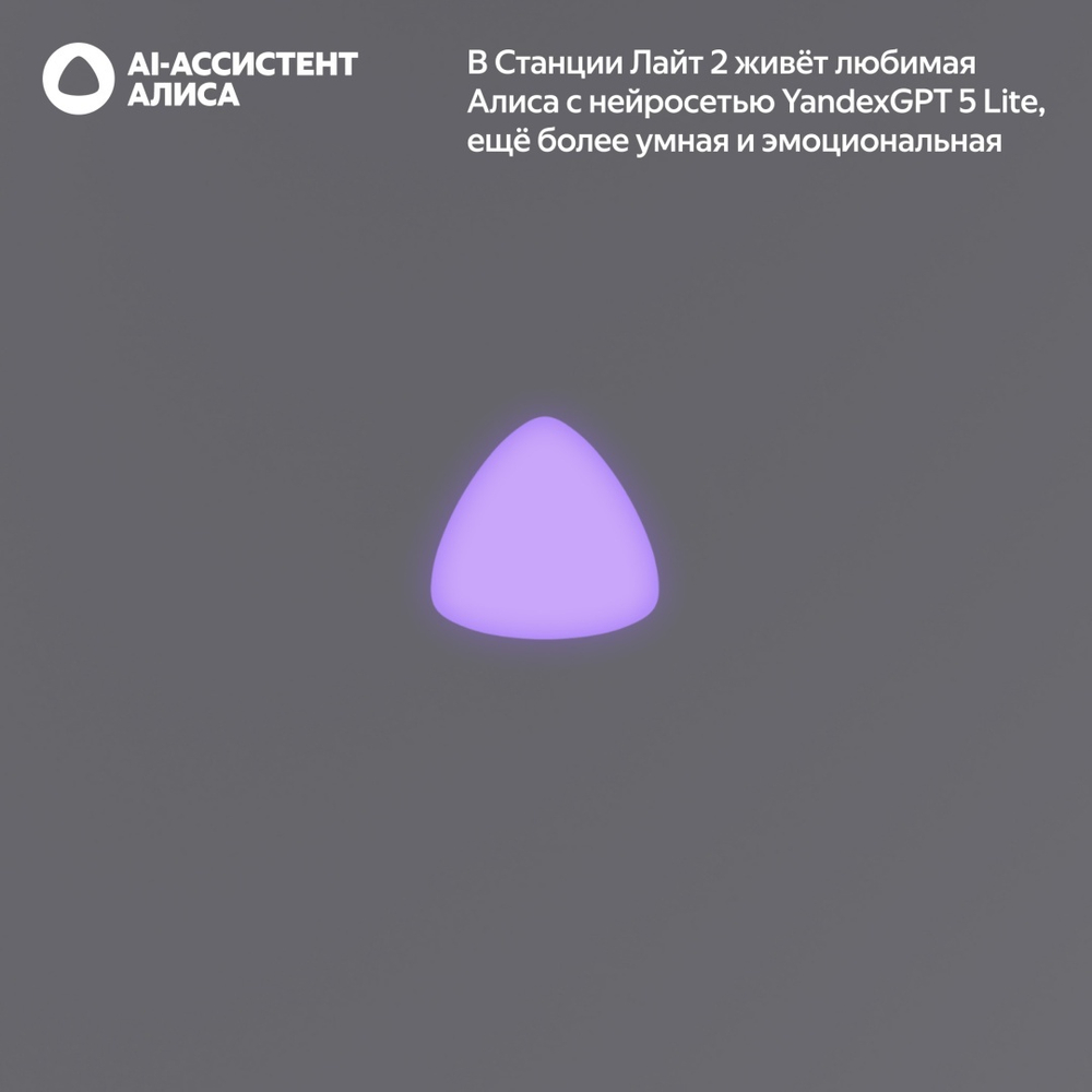 Умная колонка Яндекс Станция Лайт 2 YNDX-00028 серый