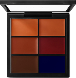 MAC Cosmetics Studio Fix Conceal And Correct Palette - палитра консилеров, 6 g