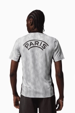 Футболка Nike PSG x Jordan 25/26 Academy Pro Night Edition - серый