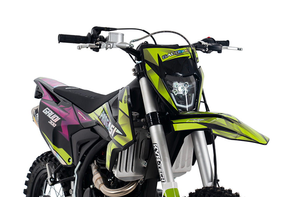 Мотоцикл PROGASI GAUDI 300