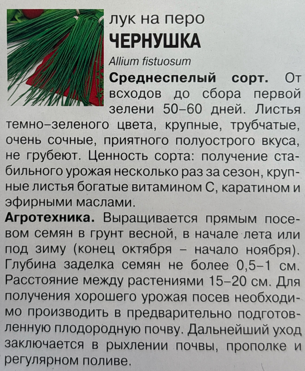 Лук Чернушка, 0,5г., Урожай Удачи СМЗ-30