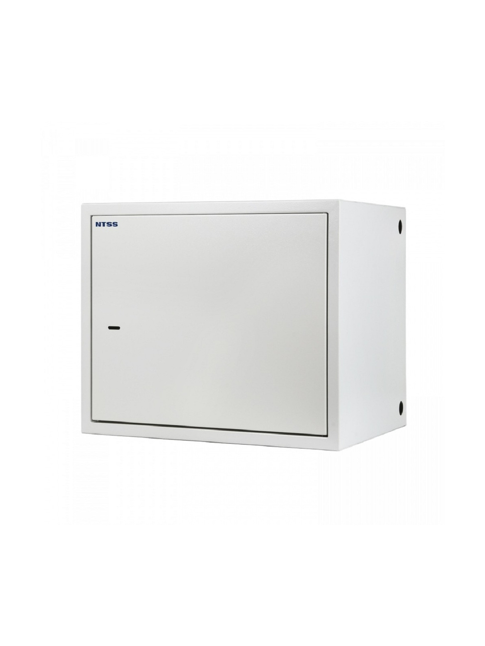 NTSS Шкаф настенный антивандальный распашной NTSS WAR 10U 600*500мм, 2 профиля 19, сварной, серый RAL 7035 NTSS-WAR10U6050