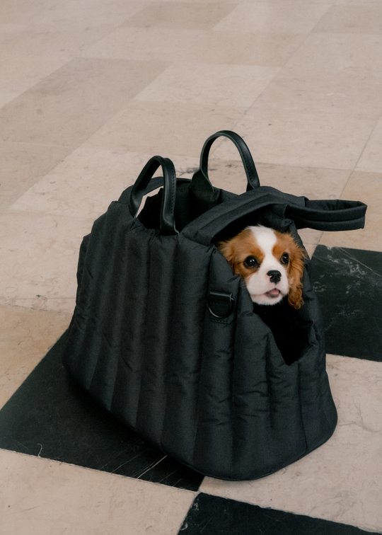 Сумка-переноска Пони черная