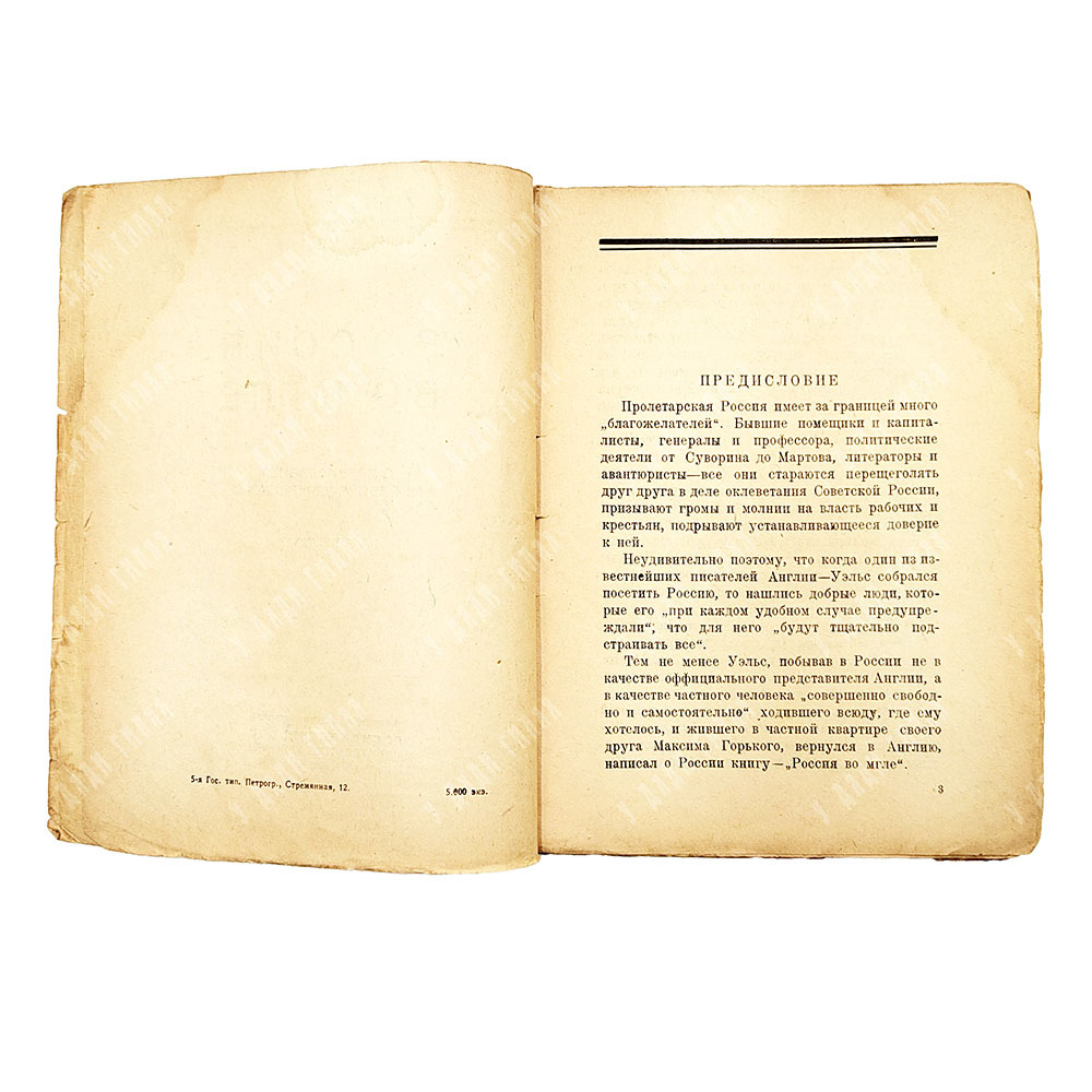 Уэльс (Уэллс) Г. Д. Россия во мгле. [Харьков]: Гос. изд-во Украины. 1922