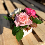 Романтический завтрак — композиция ароматных роз