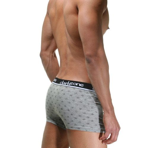 Трусы мужские боксеры серые DARKZONE DZN2309