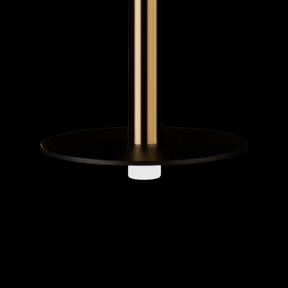 Подвесной светильник Loft it Reed 10358/830 Disk AB