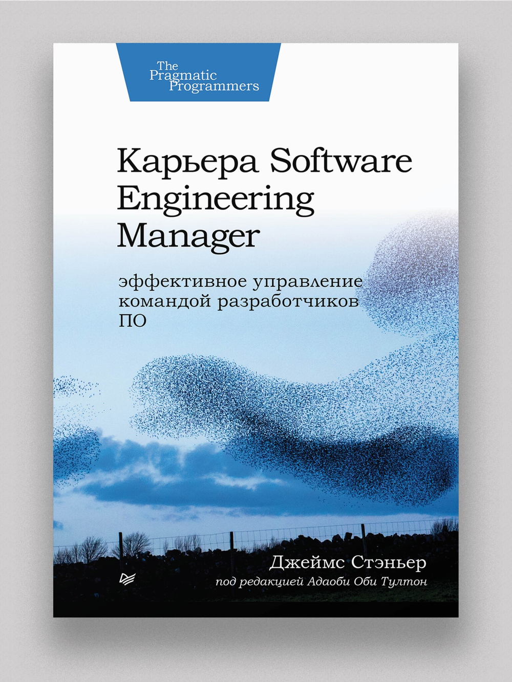 Карьера Software Engineering Manager. Эффективное управление командой разработчиков ПО