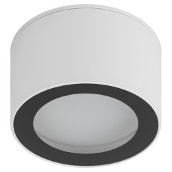 Светильник настенно-потолочный спот ЭРА OL28 WH/BK GX53, черно-белый, IP44 | Накладные светильники